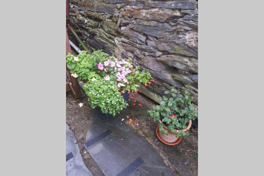 Porthmadog Harbour Town - High Street Apartment. Dış mekan fotoğraf